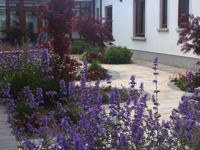 Rehabilitation Courtyards